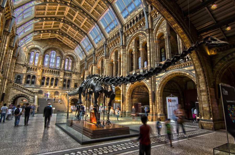 The Natural History Museum, a cathedral of Science, is next door.