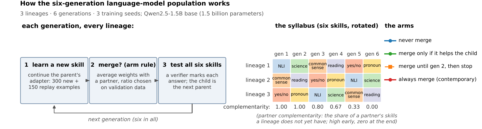 Schematic of the six-generation population: learn a skill, decide whether to merge, test on all six skills.